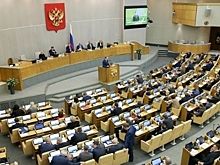 Думское большинство отклонило предложение помочь одиноким родителям