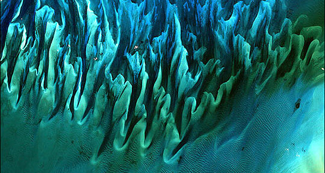 Фото узоров песка и водорослей получило номинацию лучшего кадра NASA