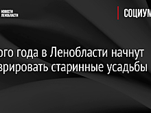 С нового года в Ленобласти начнут реставрировать старинные усадьбы