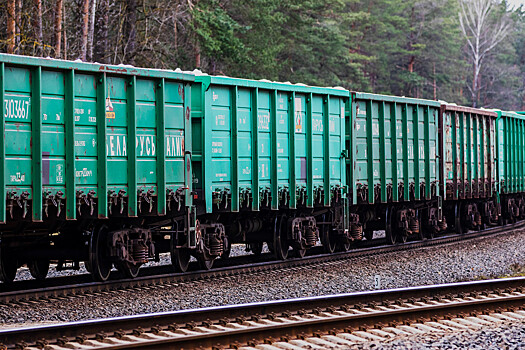 Грузы идут — министры уходят. Как «Беларуськалий» развалил правительство Литвы