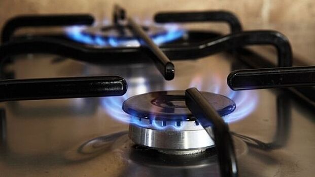 "Заморозка" цены на газ станет новым шагом в поддержку россиян после отмены штрафов ЖКХ