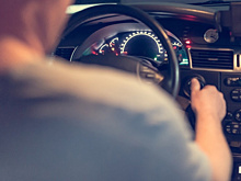 В Тольятти разыскивают водителя, оставившего щенка умирать в мучениях