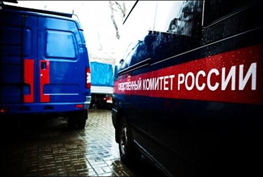 В г. Саров водитель выгнал малолетнего ребенка из маршрутного такси на 28-градусный мороз