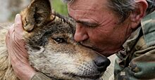 Он прожил со стаей диких волков 12 лет: история испанца, который снова хочет вернуться к своим друзьям