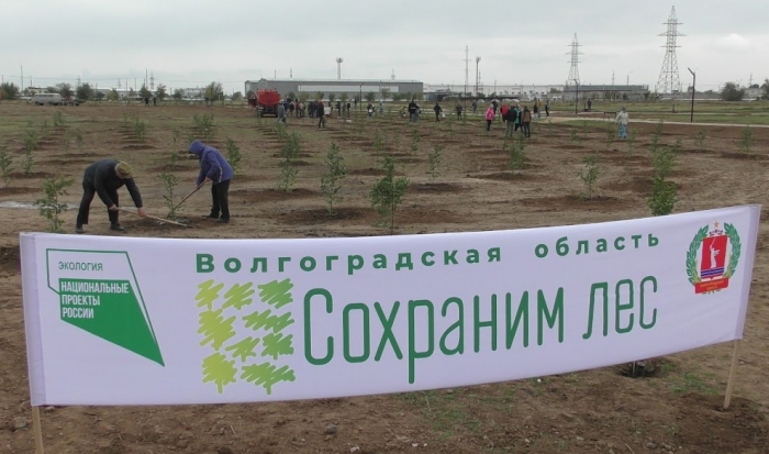В Волгоградской области в 2,4 раза выросло число участников экомероприятий