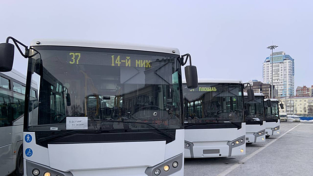 В Самаре на линию выйдут 20 новых автобусов