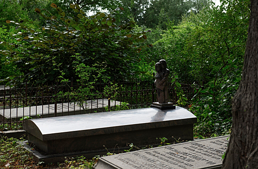 Новосибирская мэрия спилила 40 хвойных деревьев на Северном кладбище