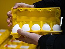 В России обнулят пошлины на импорт яиц
