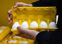 В России обнулят пошлины на импорт яиц