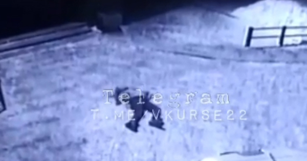 Тая выпавший ночью. Она улыбалась я влюблялся. Тревор хендерсон монстры. Встречи и расставания. Тая выпавший ночью.