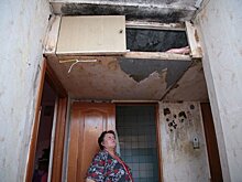Дома в поселке под Петербургом превратились в трущобы