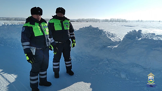 В Тюменской области полицейские спасли четверых граждан, оказавшихся в сильный мороз в открытом поле
