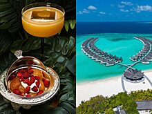 Гастрономическое бистро Rebecca в Москве и отель Kuredhivaru Resort & Spa Maldives запустили совместную акцию