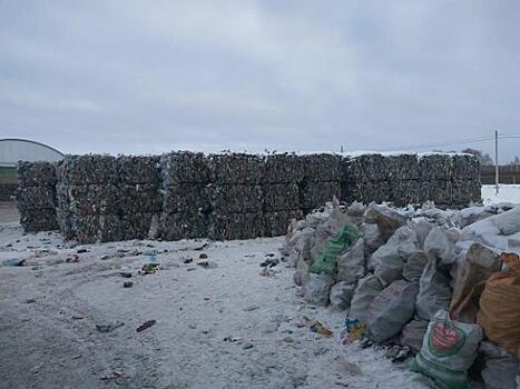 Разделяй и спасай планету. Что мешает ввести раздельный сбор отходов на Южном Урале