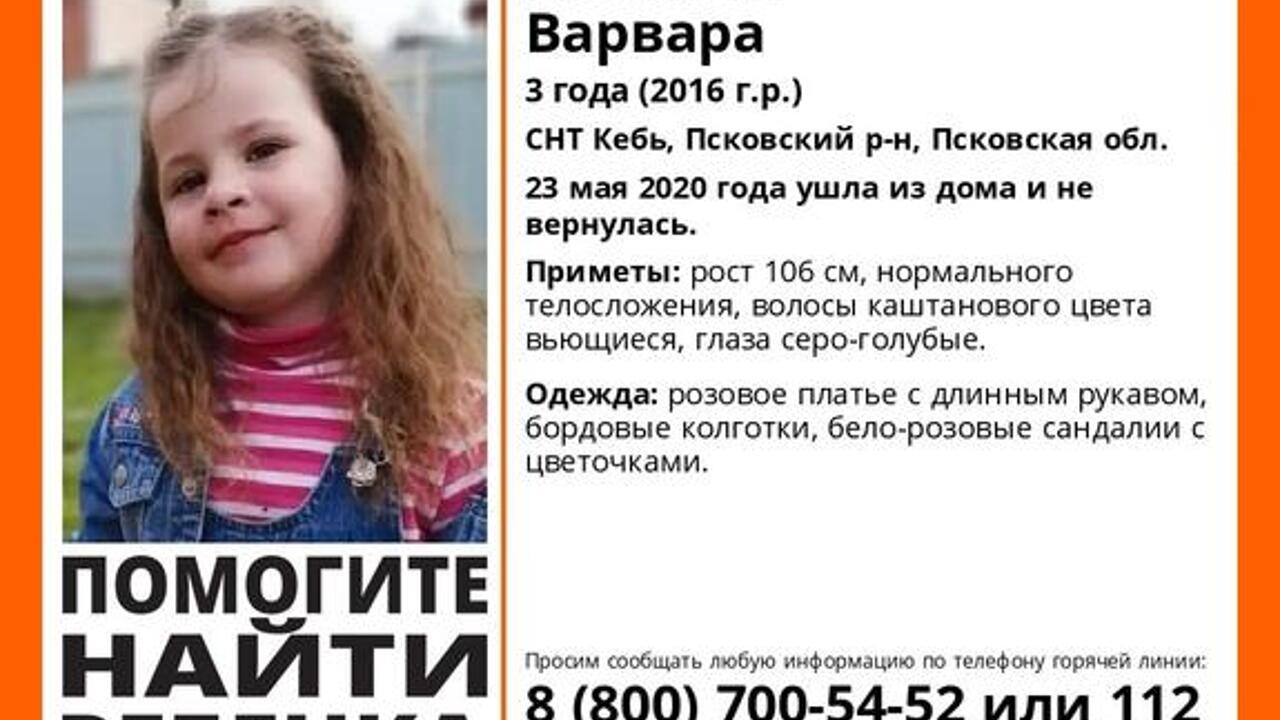 В Псковской области продолжают искать пропавшую на даче девочку -  Рамблер/женский