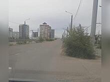 Деревья в человеческий рост выросли на мосту через Каштакское кольцо