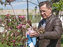 В Астрахани продолжается работа по созданию комфортной городской среды