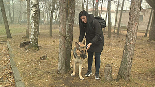 В Великом Новгороде участковая уполномоченная полиции спасла жизнь овчарке