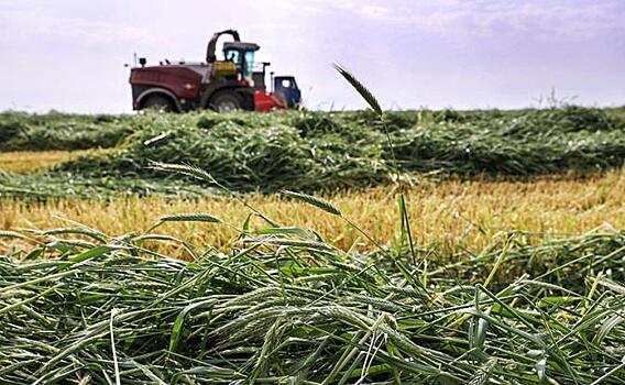 Бородинский хлеб и квас отныне станут деликатесами