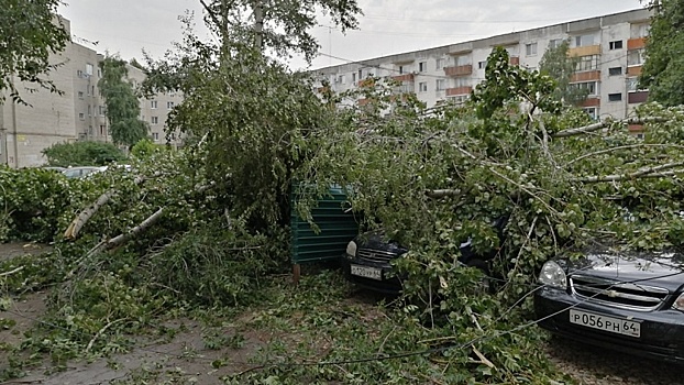 Жителям, пострадавшим от стихии на прошлой неделе, советуют страховать свое имущество