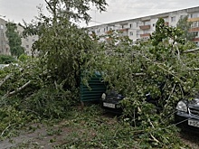Жителям, пострадавшим от стихии на прошлой неделе, советуют страховать свое имущество