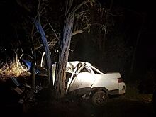 В Краснодарском крае после столкновения автомобиля с деревом погиб водитель и пострадали два пассажира