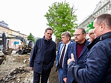 Мельниченко жестко отреагировал на спиливание деревьев в центре Пензы