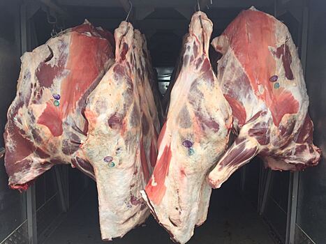 В Россию не пустили 20 тонн говядины из Беларуси