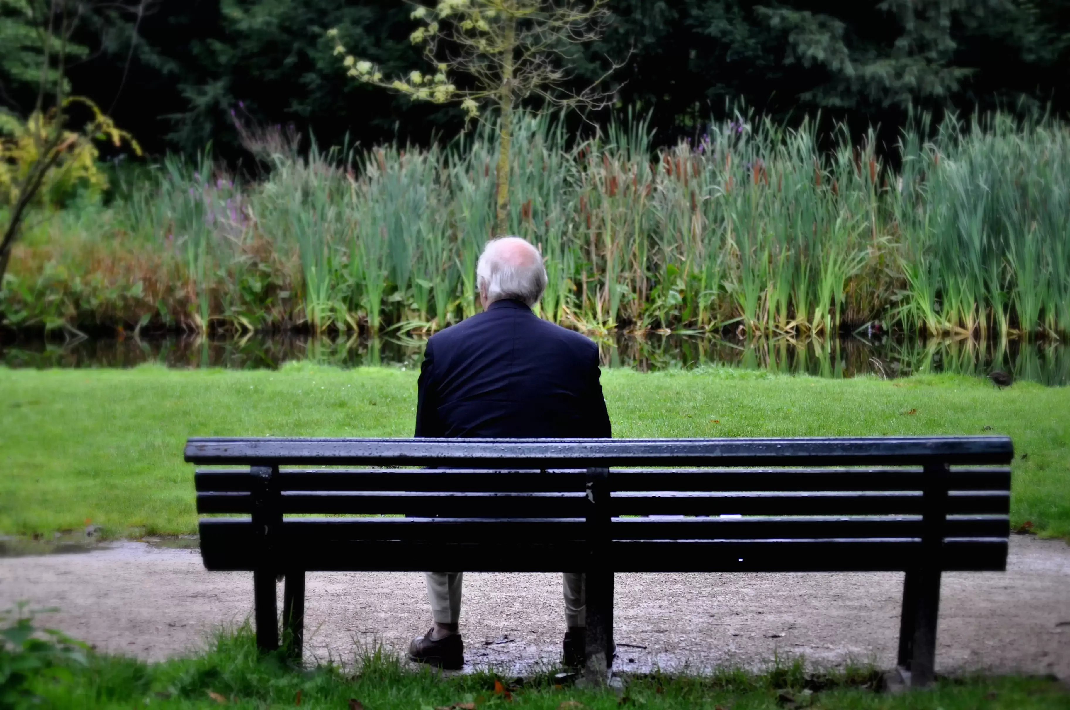 Одиночество может привести к болезни Альцгеймера