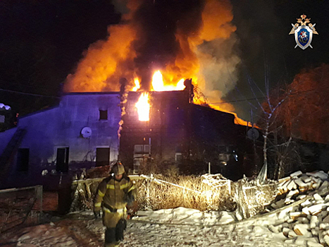 Больше 30 собак задохнулись в клетках: погибшая во время пожара в Черняховске женщина была заводчицей