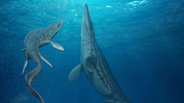 Найдены останки древней морской ящерицы с акульими зубами