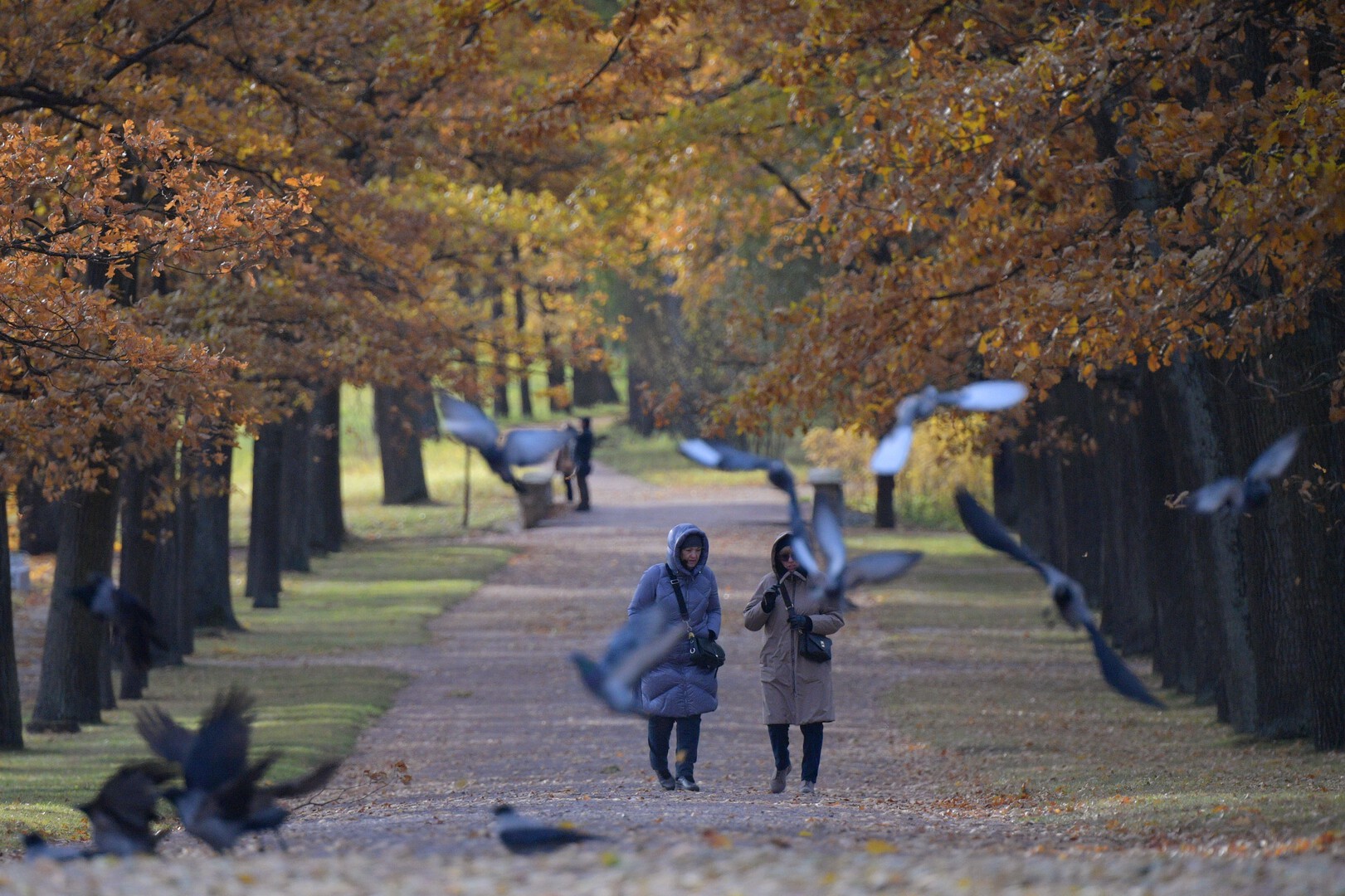 Никаких курортов и дач: россиянам предложили сократить отпуск и праздничные дни
