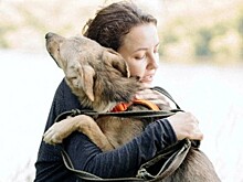 Во Дворце пионеров 8 июня прочитают лекцию о животных из приютов