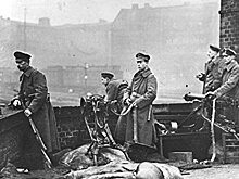 От Одессы до Мюнхена: Дунайская ось советских республик