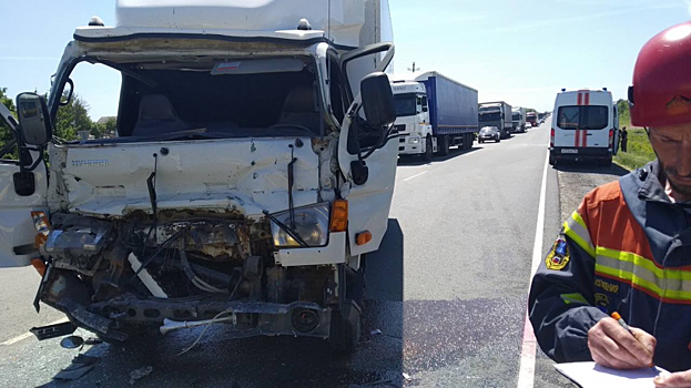 В аварии с КамАЗом под Саратовом пострадали двое мужчин