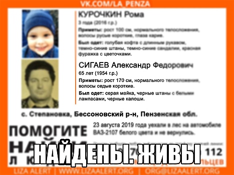 Пропавшие в Пензенской области пожилой мужчина с внуком найдены