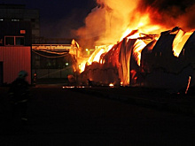 Склад с паллетами загорелся в Подмосковье. Огонь распространился на площади в 1600 кв.метров