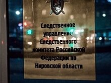 Жительницы Кировской области осуждены за поддержку нежелательных иностранных организаций