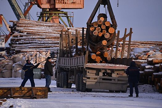 На Дальнем Востоке запустят новую систему управления лесами