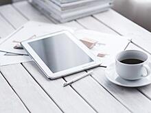 Лучше из Telegram: что делать, если дерево рухнуло на авто