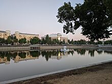 Мария Пермякова призвала политиков убрать за собой мусор