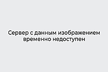 Нина Добрев встречается с коллегой по сериалу «Дневники Вампира»