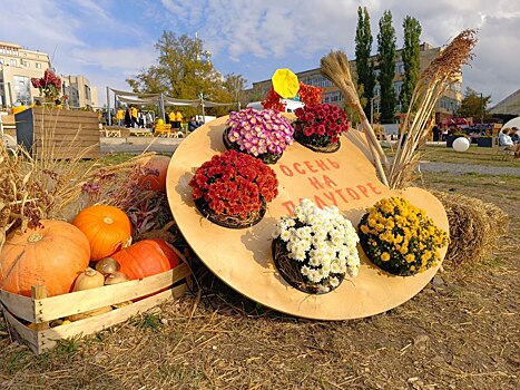 Фестиваль районов на Полугоре соберёт гостей 15 ноября