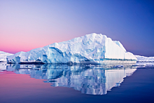 Подо льдом Антарктиды нашли ранее неизвестные живые организмы