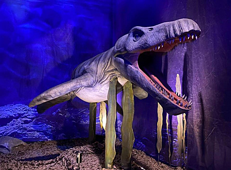 В Самаре дети из семей вынужденных переселенцев увидели "Динозавров морских глубин"