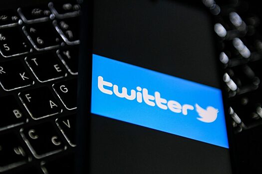 Аналитики объяснили демарш Илона Маска против Twitter
