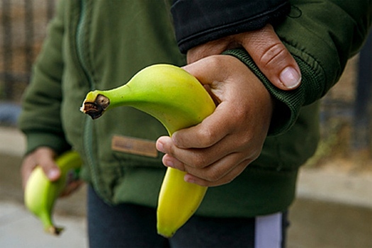 Миру предрекли дефицит бананов
