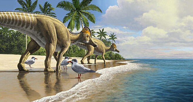 Найдена окаменелость «утконосого» динозавра