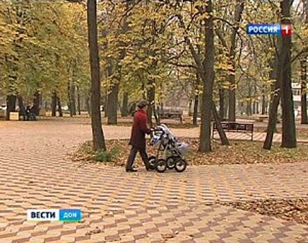 В Ростове для обустройства левого берега Дона купят спецтехнику за 23,5 млн руб.