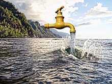 Подмосковье вошло в число лидеров по числу экологических мероприятий в РФ